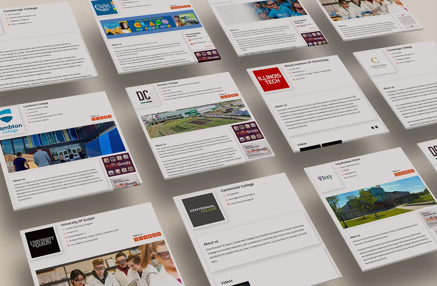 Profile_Overlay_IMG-Mob