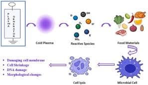 A diagram explaining how cold plasma is used in food processing.